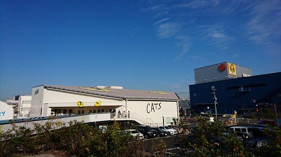 キャッツシアター